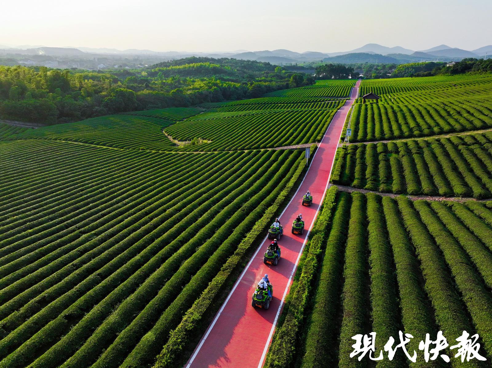 2025全国地方媒体总编辑看无锡｜绿道串景，龙池山交出“低碳文旅”新答卷