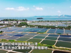 浙江宁波：万亩养殖塘变身“大地调色盘”
