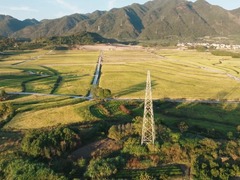 “电力引擎”点亮乡村振兴路