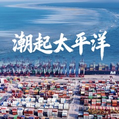 微视频｜潮起太平洋