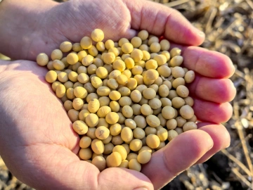 一块农田,为啥能记两笔“丰收账”?