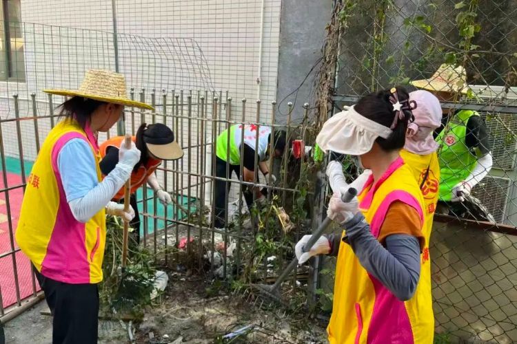 24小时响应！中山横栏畅通卫生黑点举报渠道