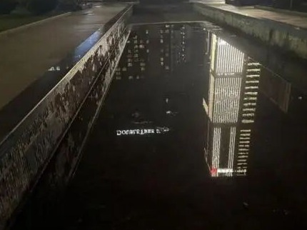 龙华文化广场多处积水成“蚊虫温床”？记者实探