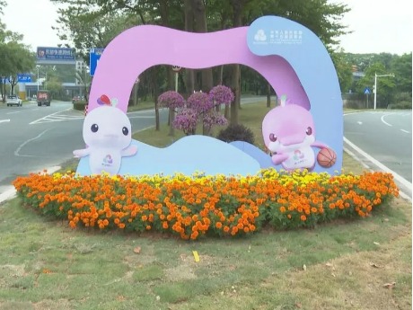 共迎十五运 精彩在东莞｜寮步镇全方位营造浓厚赛事氛围