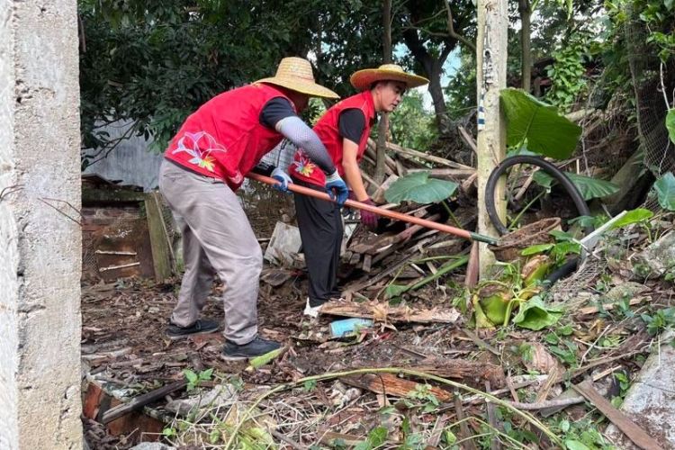 “双节”防蚊灭蚊不停歇，中山大涌镇三级志愿力量齐上阵