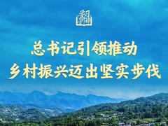 学习新语｜总书记引领推动乡村振兴迈出坚实步伐