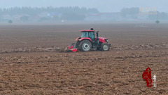 千城百县看中国 ｜河北鸡泽：农技下乡 护航秋种
