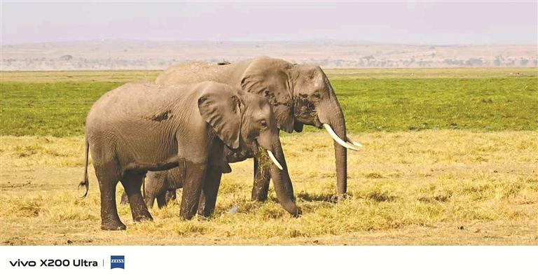 激动的草原之心 | 人文天地·南海潮