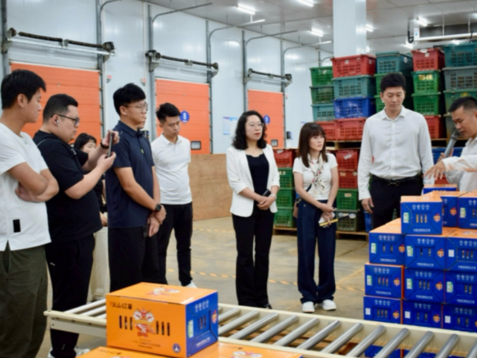湾区青年企业家走进粤西，助力“百千万工程”注入青春动能