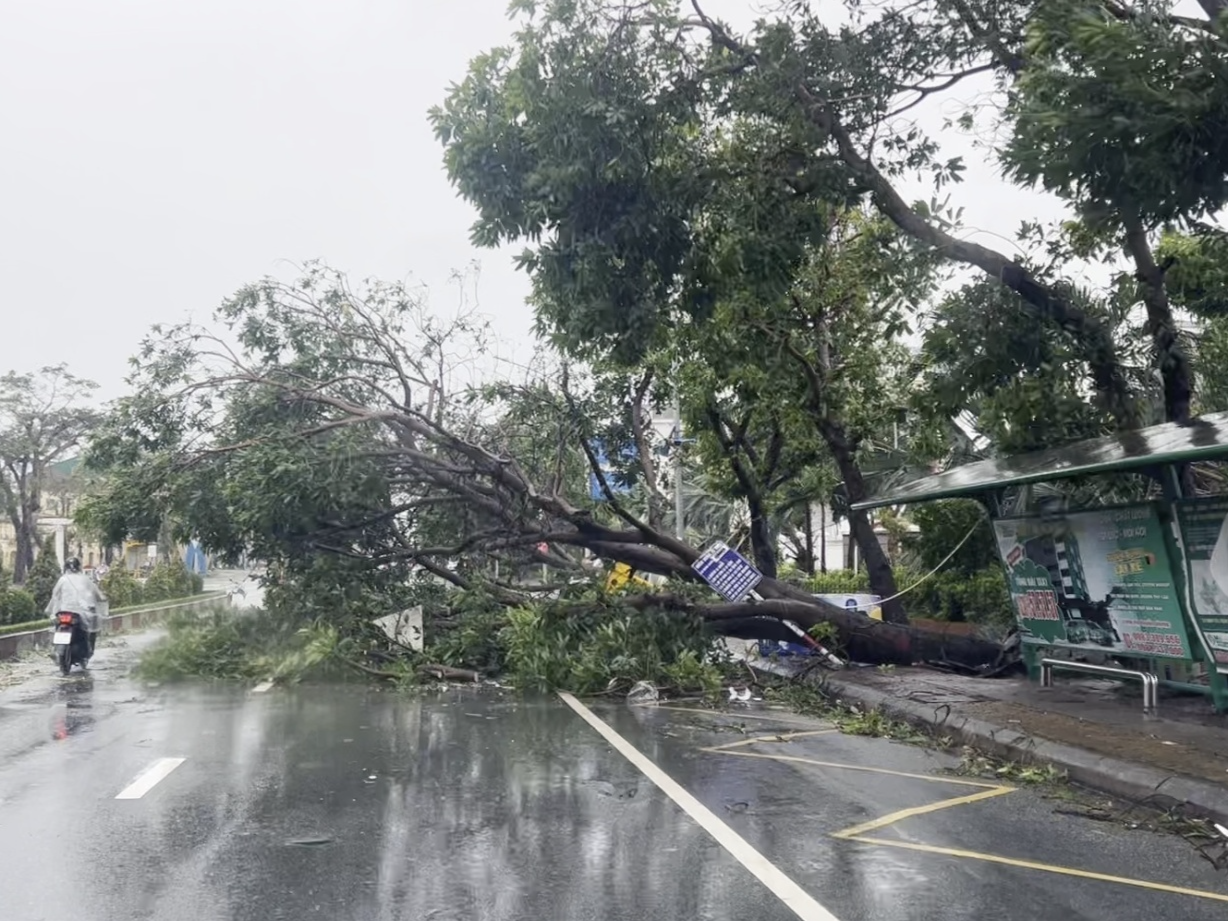 台风“博罗依”在越南已造成51人死亡 