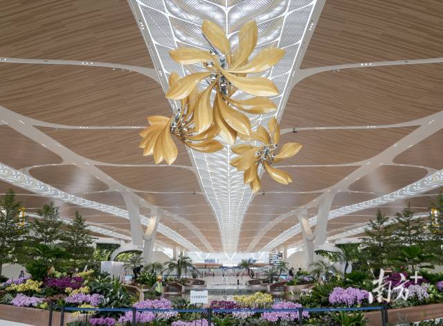 无  南方+ 石磊 拍摄