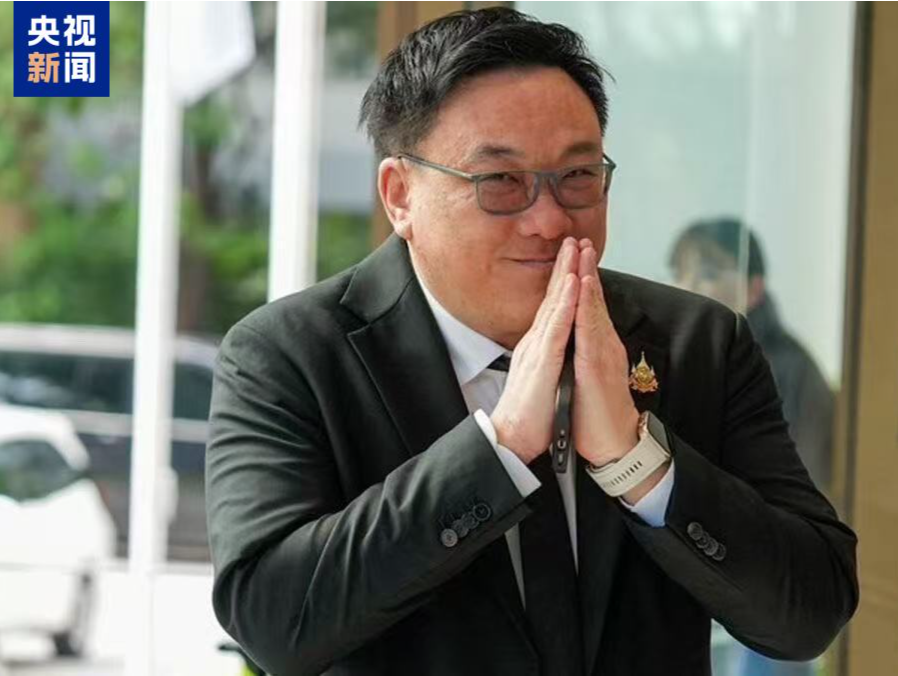 泰国为泰党选出新任党首