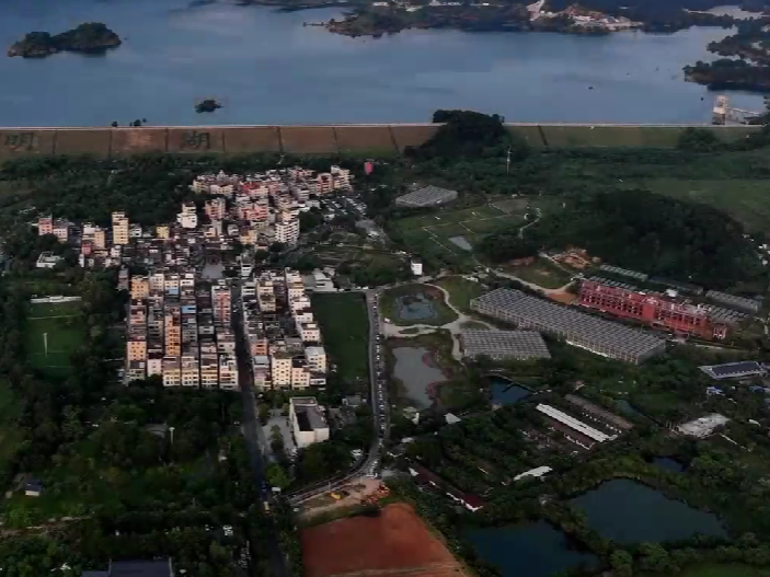 《光明本土原创纪录片《迳口的暖阳》，探寻古村落人文密码》