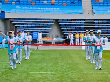 十五运热评|“小海豚”有大能量