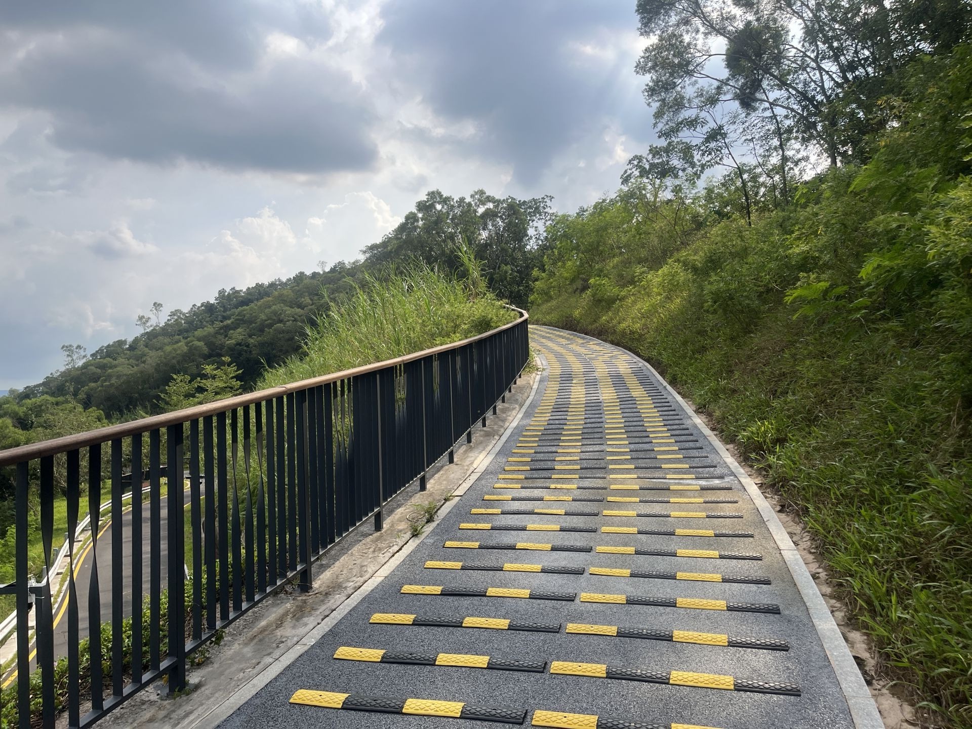 深圳一绿道防滑条被指像“搓衣板”，街道回应：暂不调整 | 有料