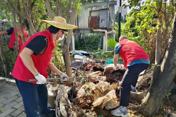 地毯式排查！中山西区烟洲社区65名驻点党员干部下沉防蚊