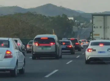 崩溃！1小时开15公里，高速上吃完老家特产……“聪明人”又堵在路上了，返深避堵指南请收好→