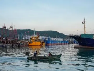 台风“麦德姆”加强，10月3日18时前珠江口以西所有渔船须回港