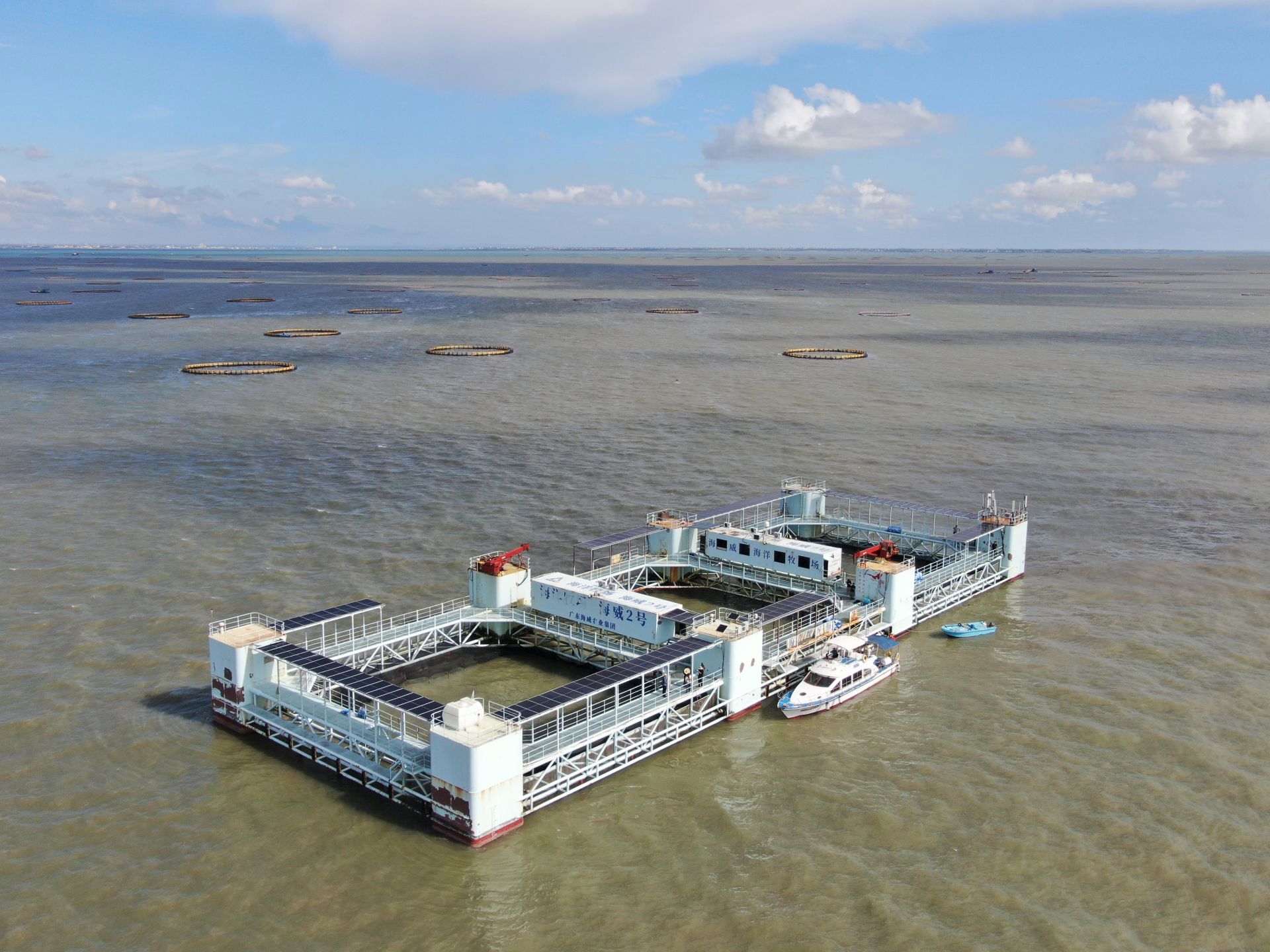 海上新广东·话海 | 专家观点：广东海洋大学管理学院院长杜军：六方合力加快核心技术攻关