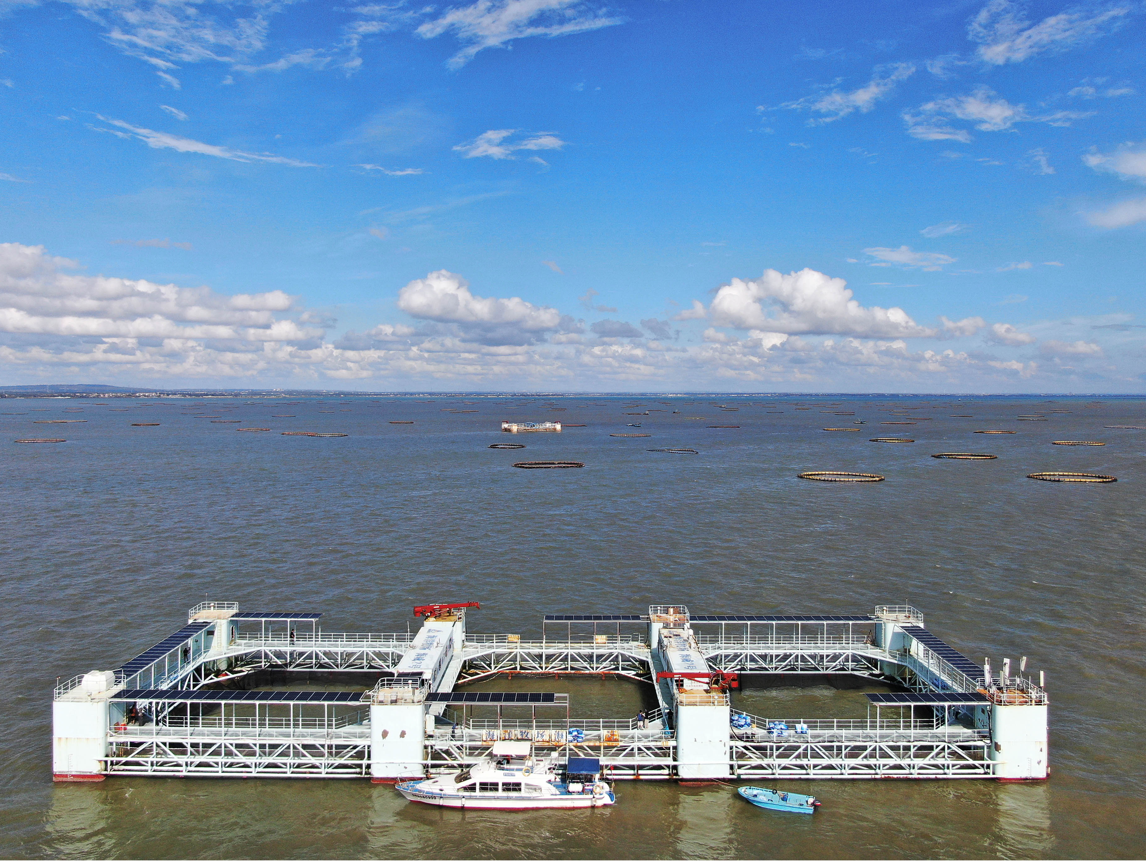 ​海上新广东·闯海 | 老兵的“铁甲舰”，海归的“新罗盘” 两代人的牧海梦殊途同归