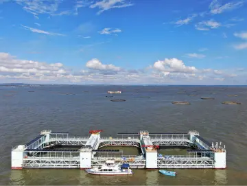 ​海上新广东·广东闯海人 | 老兵的“铁甲舰”，海归的“新罗盘” 两代人的牧海梦殊途同归