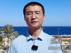 埃美讨论沙姆沙伊赫峰会安排