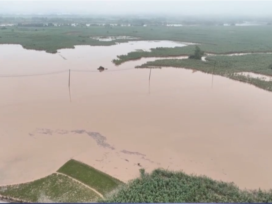 台风“麦德姆”停止编号，残余环流仍携风带雨影响多地