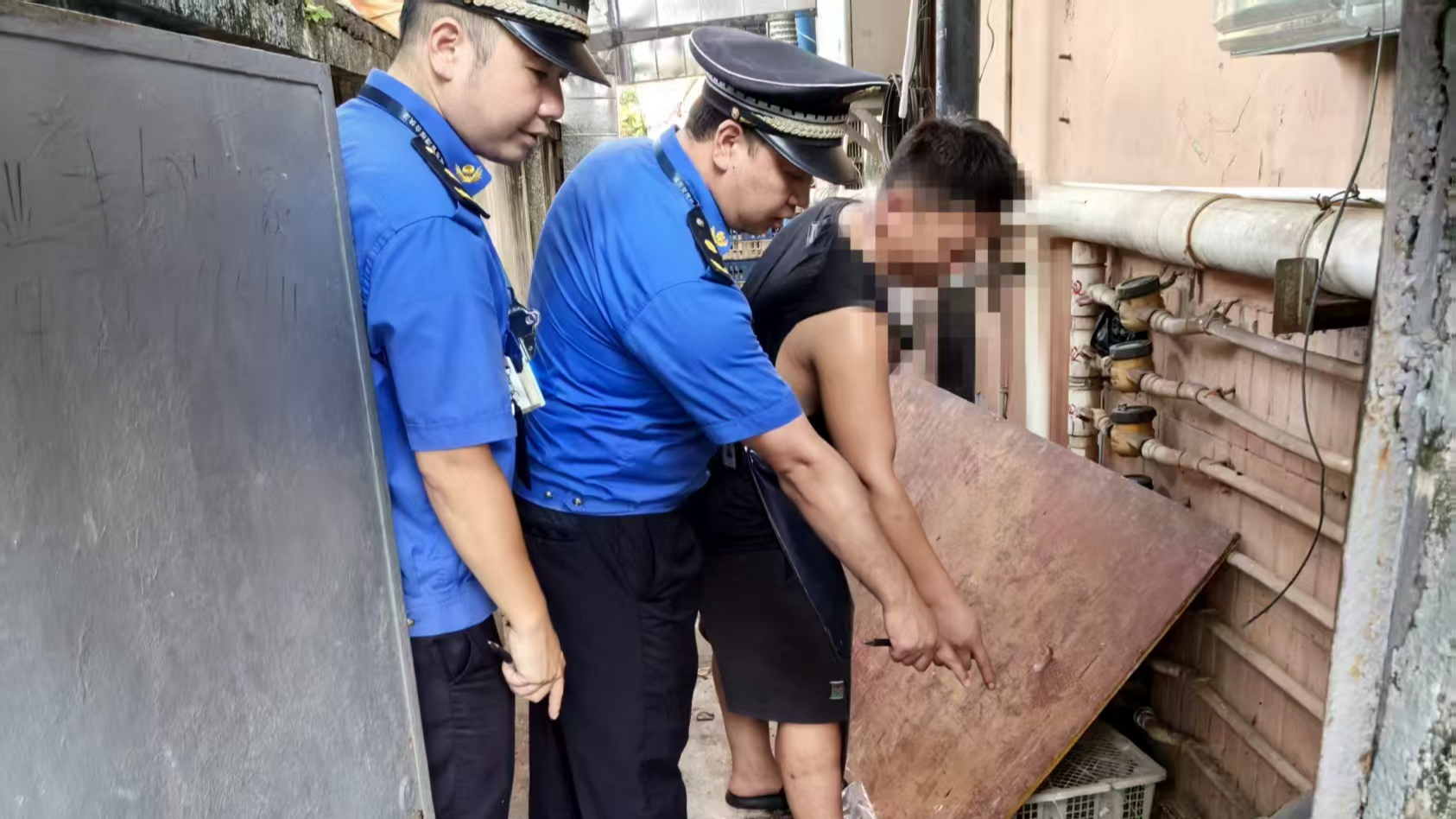 剑指蚊患温床,松岗执法亮剑!两家主体触碰“两热”防控红线受罚