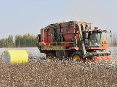 科技赋能丰收——新疆棉花采收一线见闻