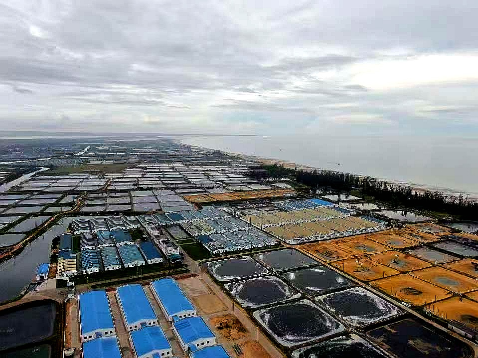 首站湛江！深圳报业集团“海上新广东”融媒调研行启动