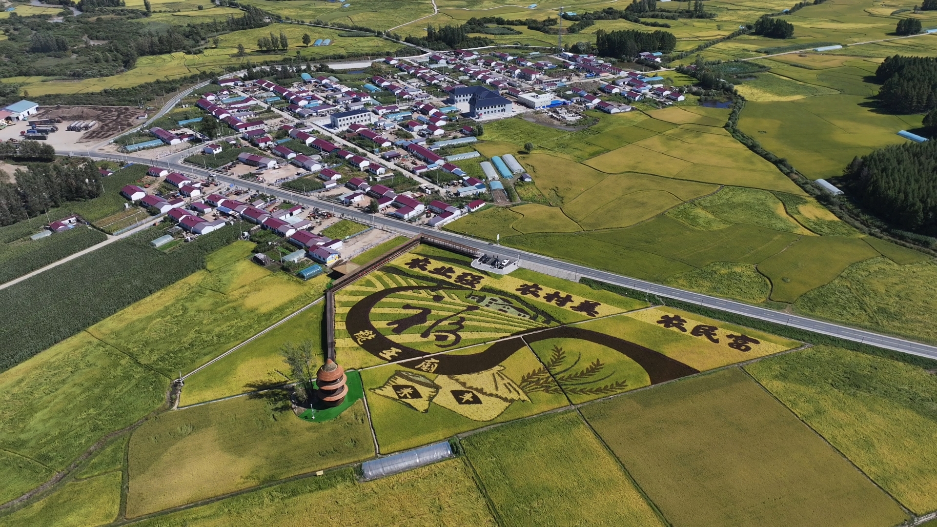 镜头里的“十四五”·农业|粮食总产跃上1600亿斤新台阶