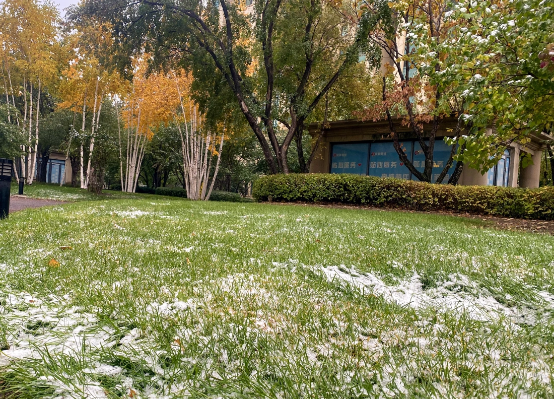 “尔滨”的第一场雪