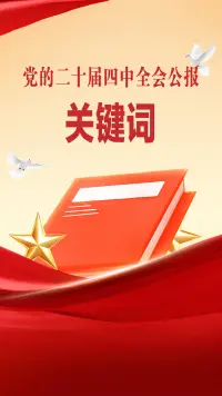 关键词看党的二十届四中全会公报