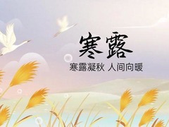 “声动”二十四节气·寒露｜寒露凝秋 人间向暖