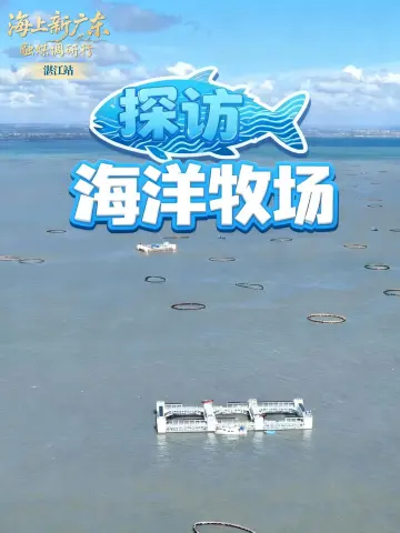 “海上新广东”融媒调研行“湛江站”——探访海洋牧场
