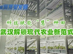 聚焦高质量发展丨科技赋能“慧”种田 武汉解锁现代农业新范式