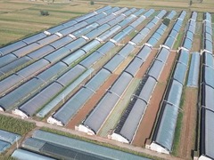 太原发展特色大棚蔬菜助力乡村振兴