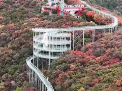 秋染淄博叶正红 “美丽经济”促振兴