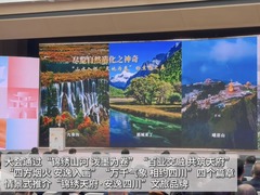 2025四川省文化和旅游发展大会举行