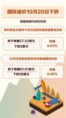 （图表）国际油价10月20日下跌