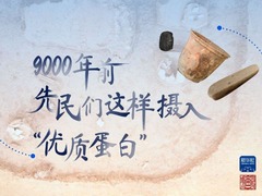 国宝画重点｜9000年前，先民们这样摄入“优质蛋白”