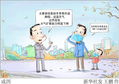 （图表·漫画）成因