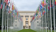 日内瓦国际组织专家：让联合国的理想在新一代手中继续发光