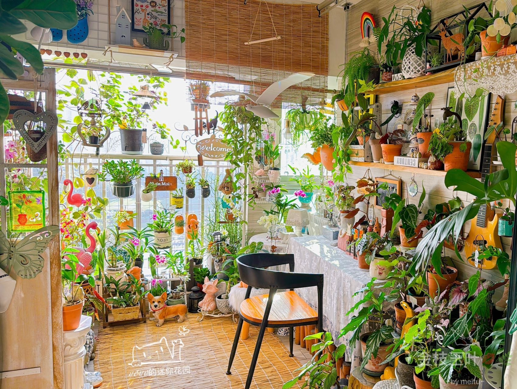 深圳市2025“最美阳台”系列活动开启,等你来晒!