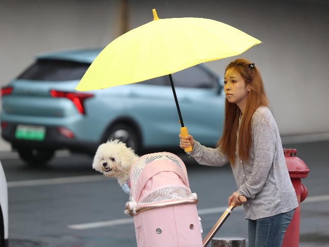 聊天丨准备换长袖！“风神”+冷空气，东莞将迎8级大风+17℃低温！