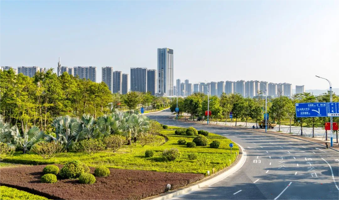 游子归乡赞汕尾蝶变：街巷展新颜 故土添温情