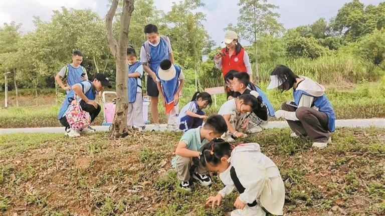 上屋社区:亲子家庭用脚步丈量秋天