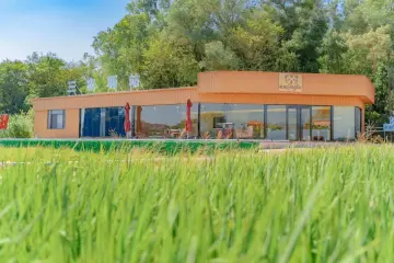 大鹏筑梦，稻香如诗——源城区粮食烘干中心绘就乡村振兴温暖画卷