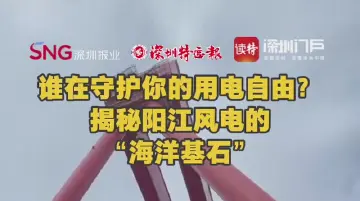 谁在守护你的用电自由？揭秘阳江风电的“海洋基石”
