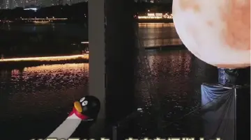 这个国庆假期，“长鹅”来深圳奔“粤”